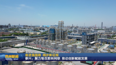 泰州电视台采访润泰股份